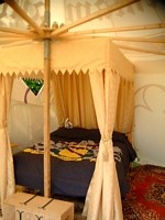 bed canopy image